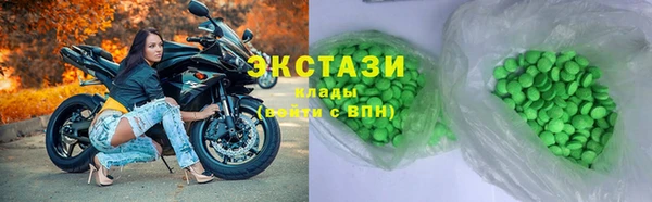гашик Алексин