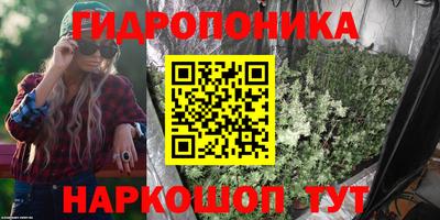 марихуана Кингисепп