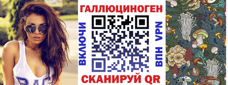Псилоцибиновые грибы прущие грибы  Георгиевск 