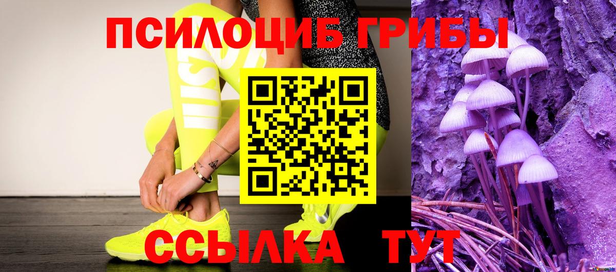 Георгиевск  Галлюциногенные грибы MAGIC MUSHROOMS  Вход с VPN 